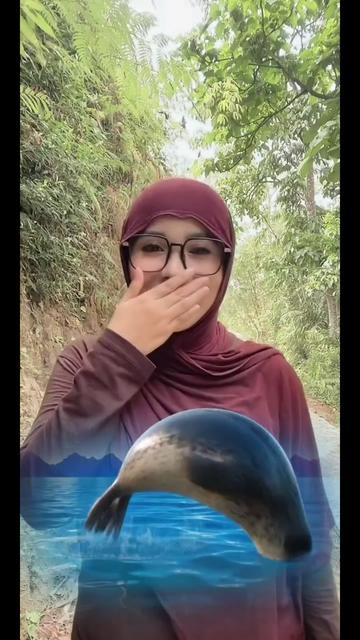 @orang biasa