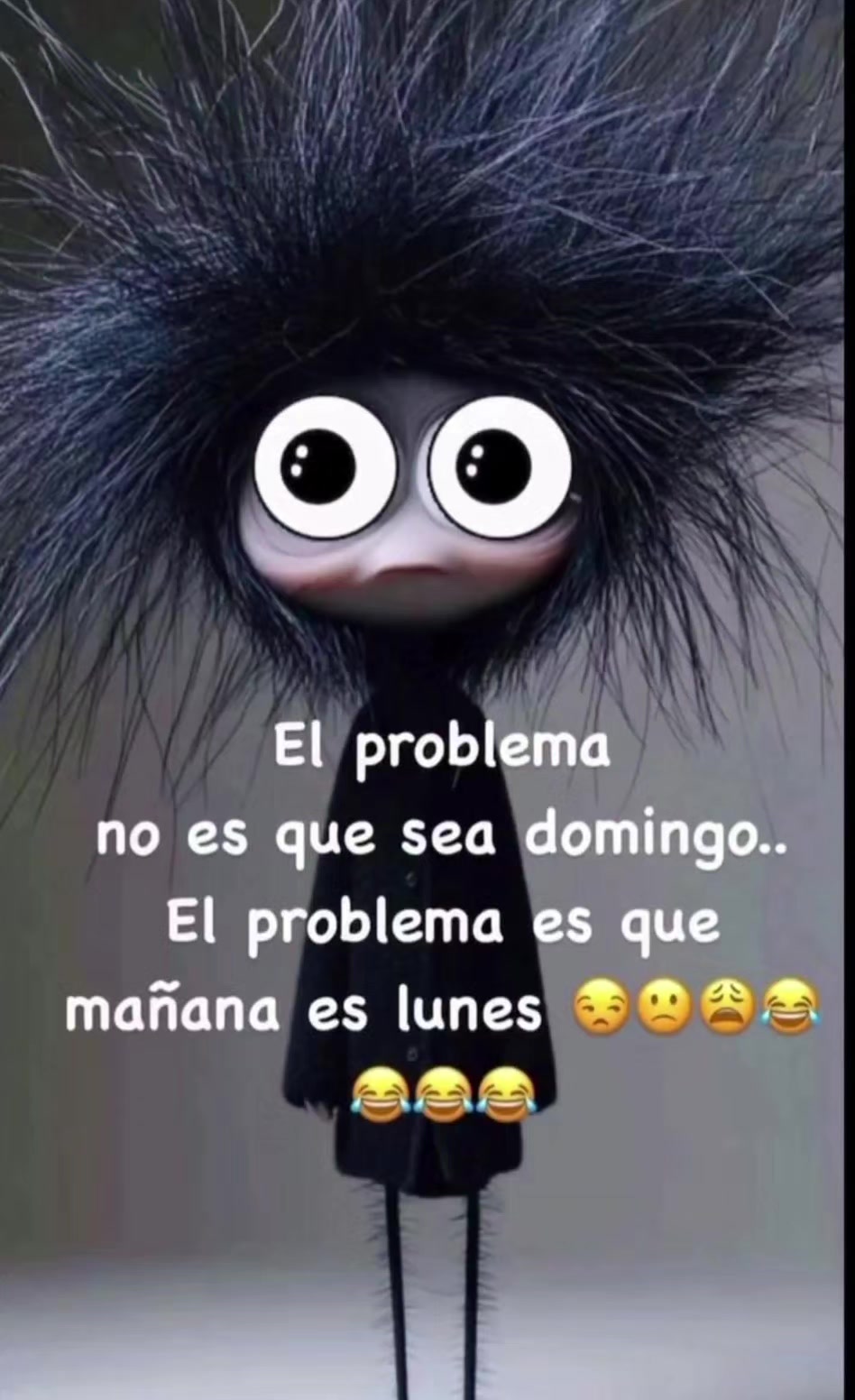 @&Aacute;NGEL LED 🌿&bull;●○&deg;