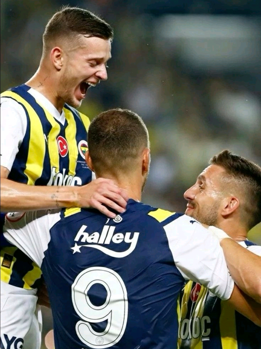 @fenerrvision