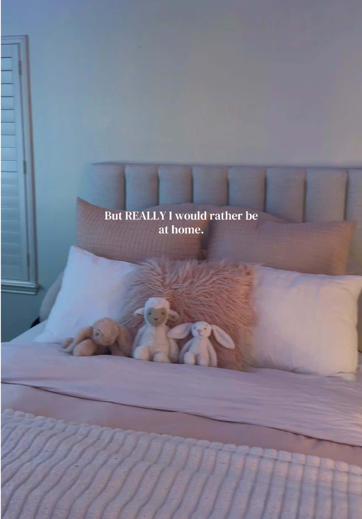@lilyy