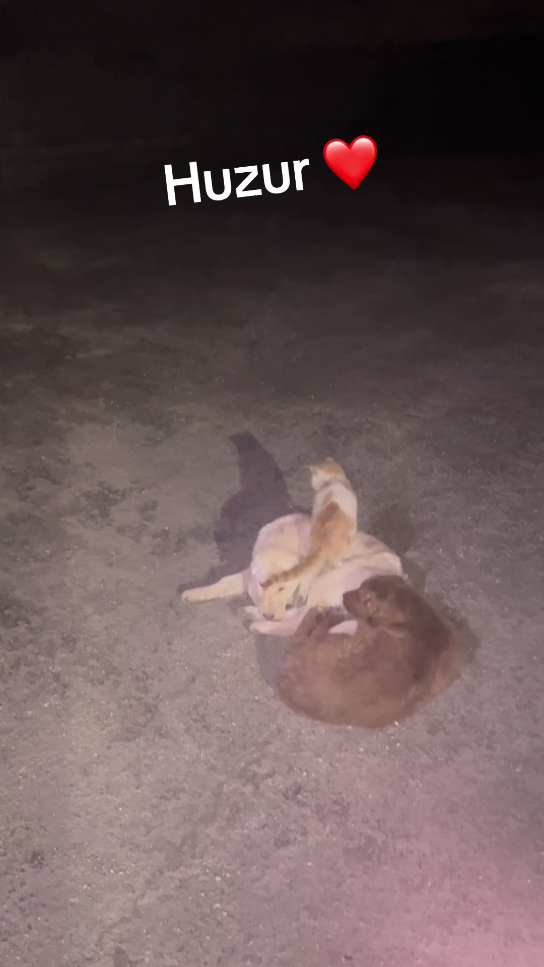 @taner kılı&ccedil;