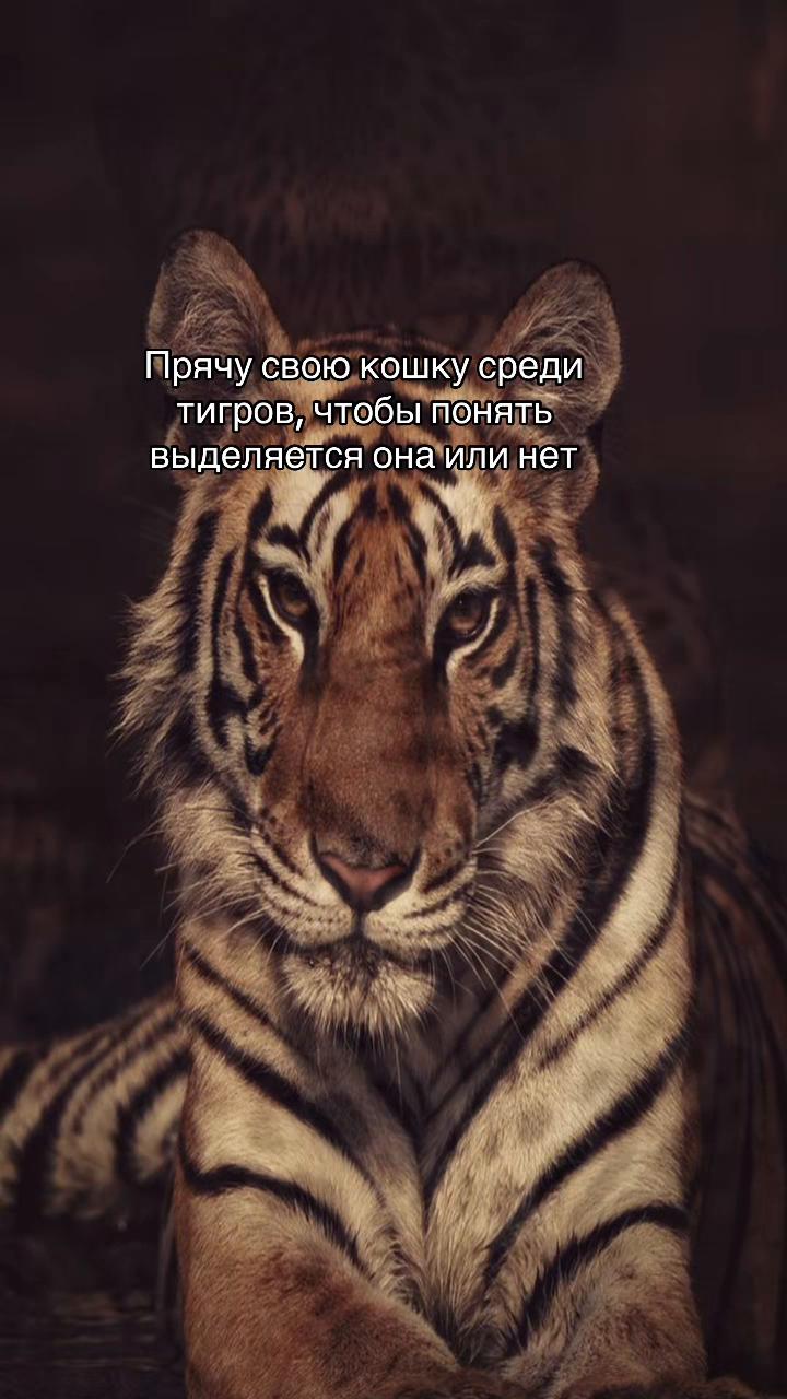 @стейси^