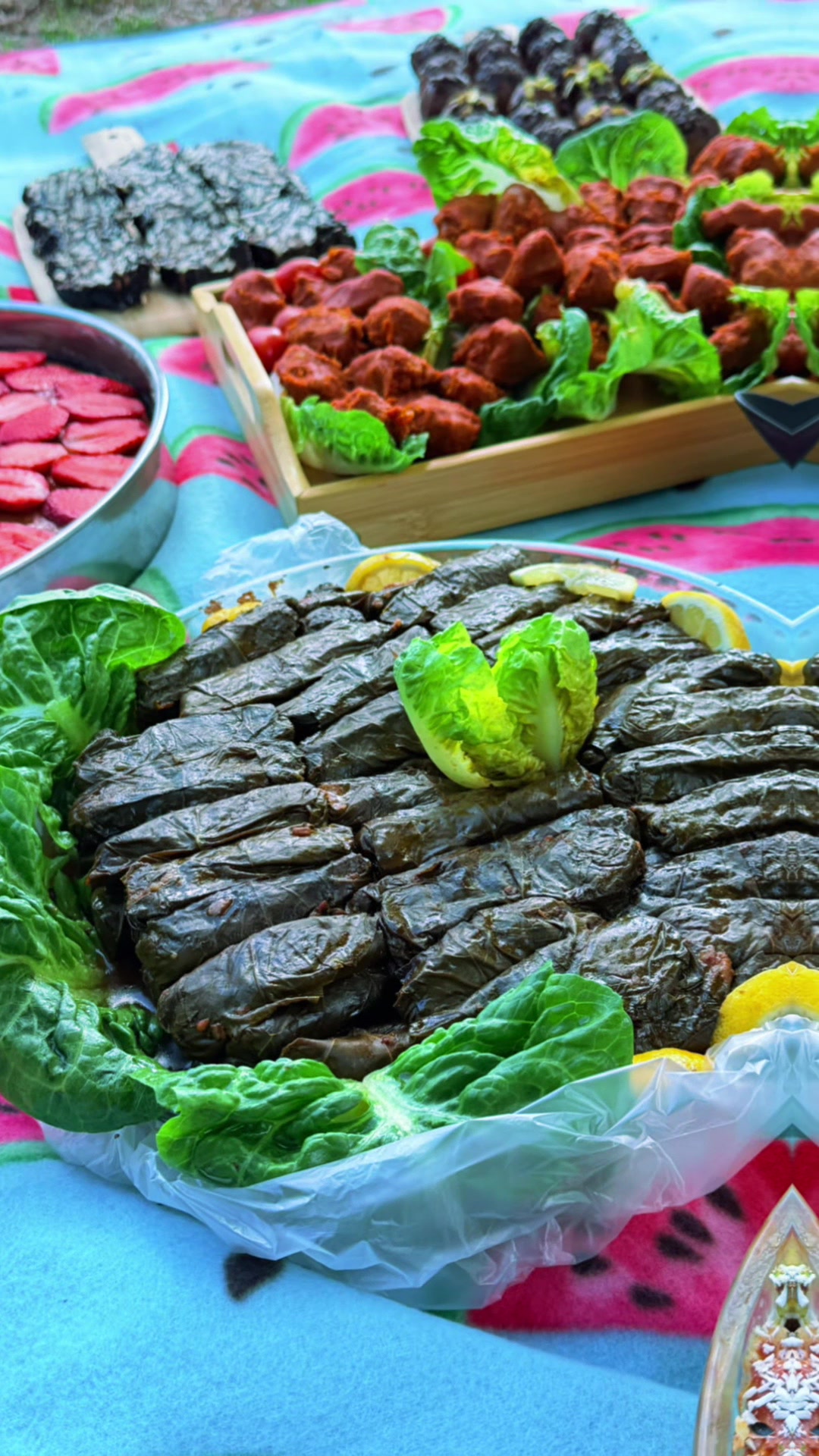 @Sêlên Alhaj Sy