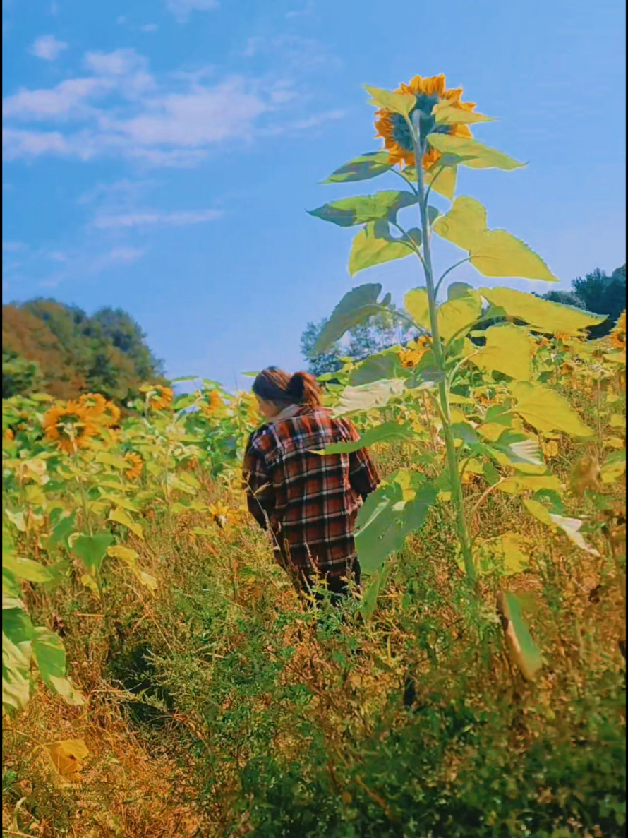 @ℂ𝕒𝕟𝕕𝕚🌻
