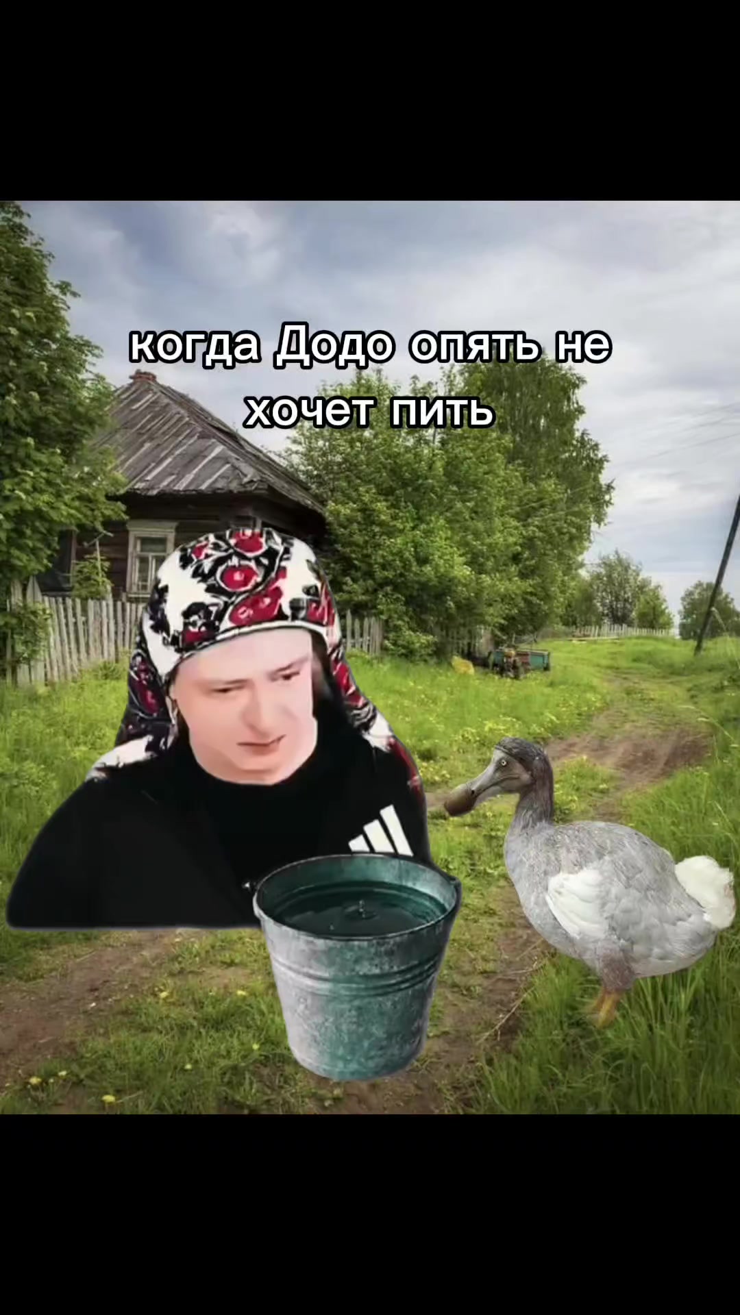 @miscull