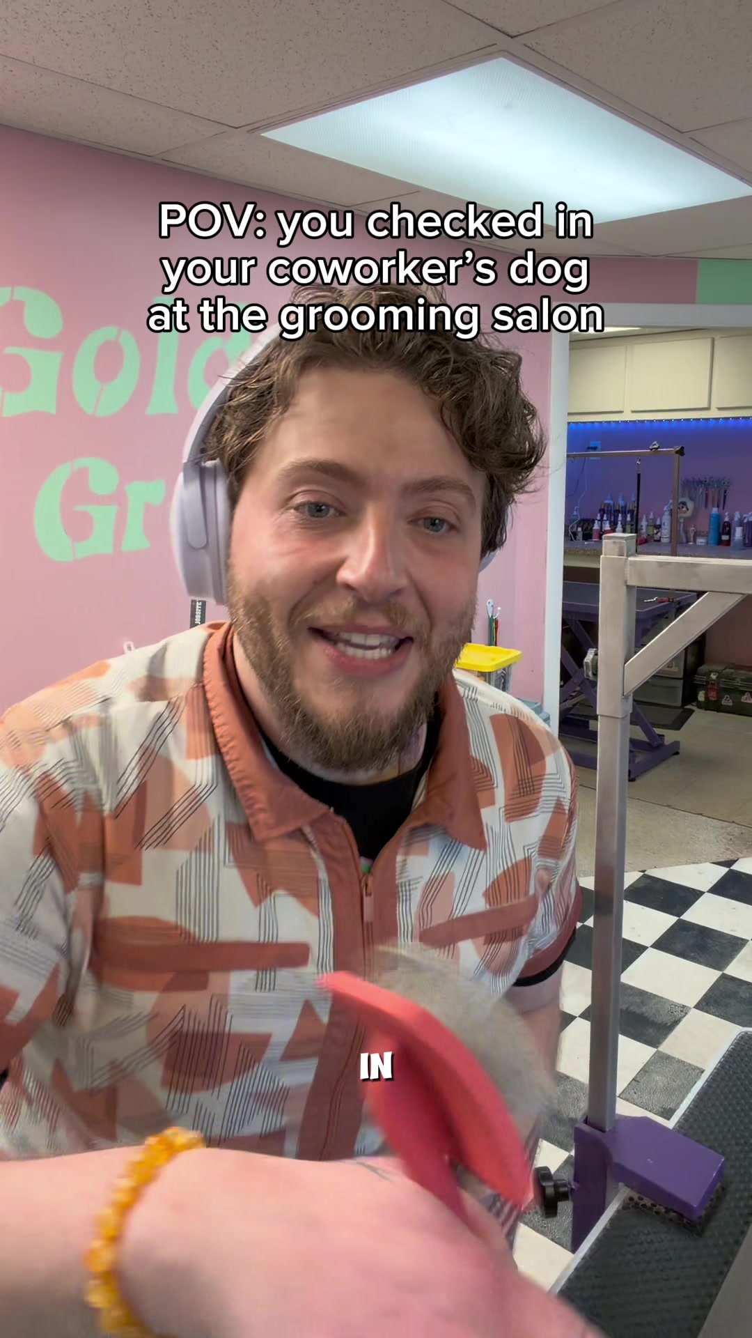 @Jay Snowdon