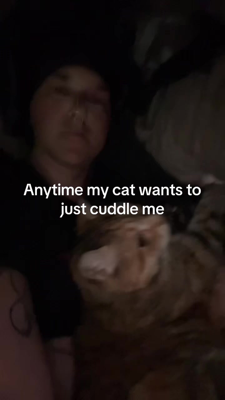 @Kitten 🖤