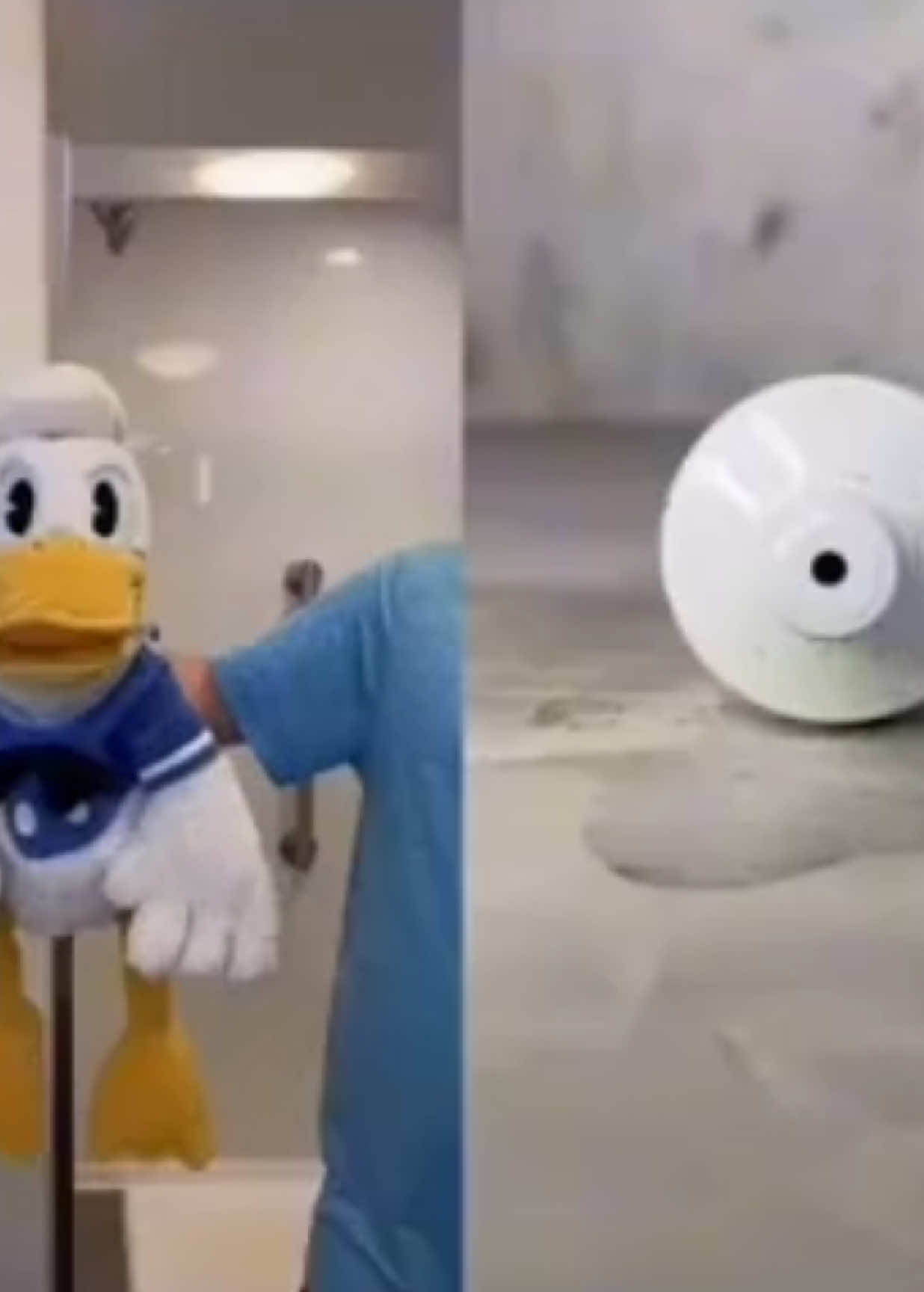 @donaldducc