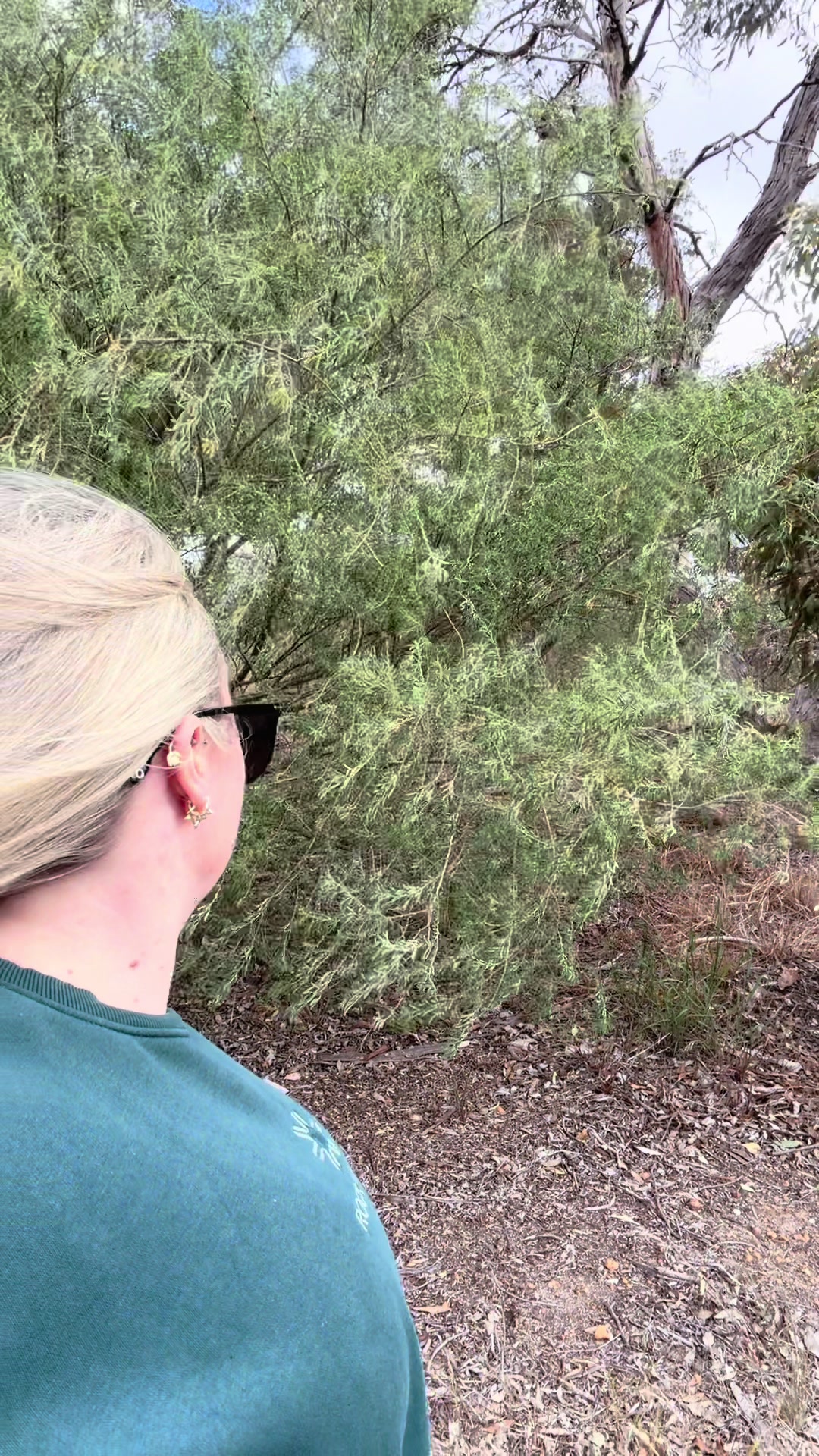 @Sherrie_PT