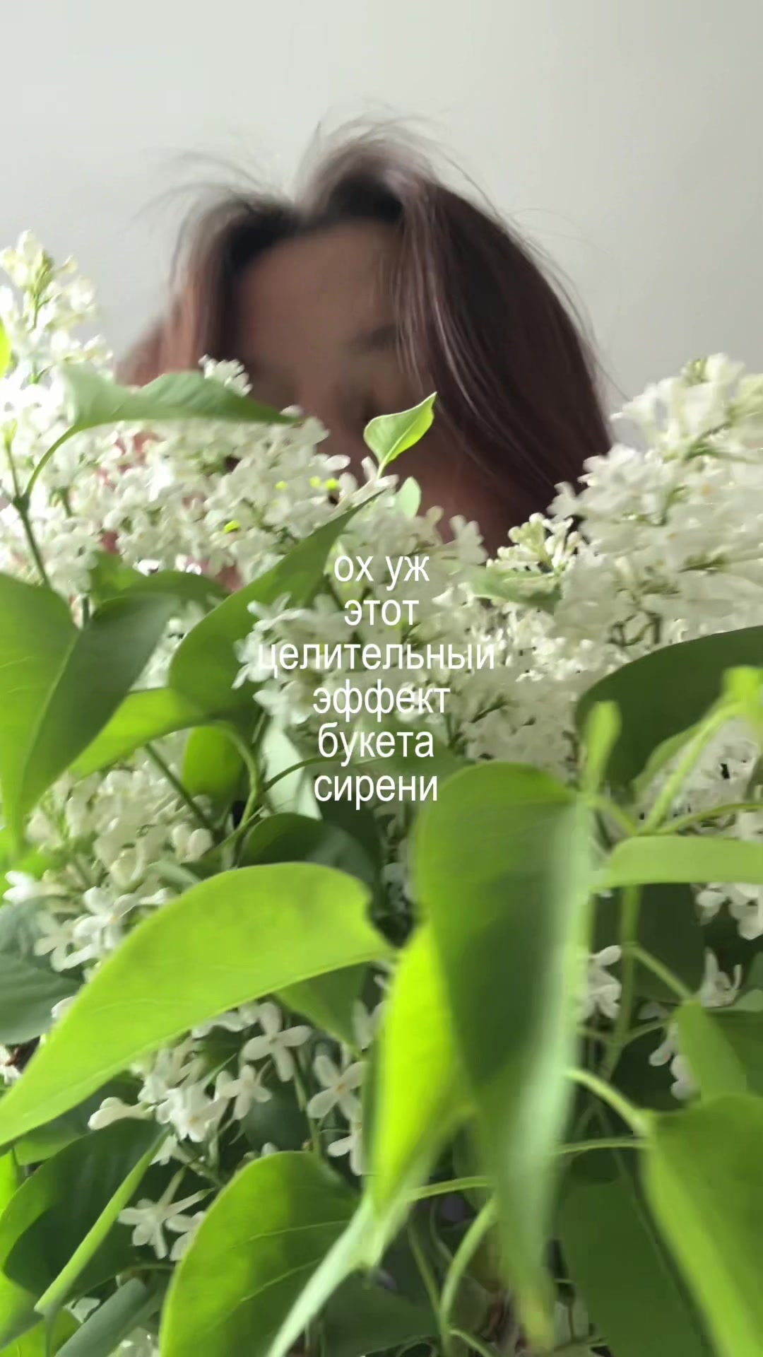 @тгк: а!полинариз