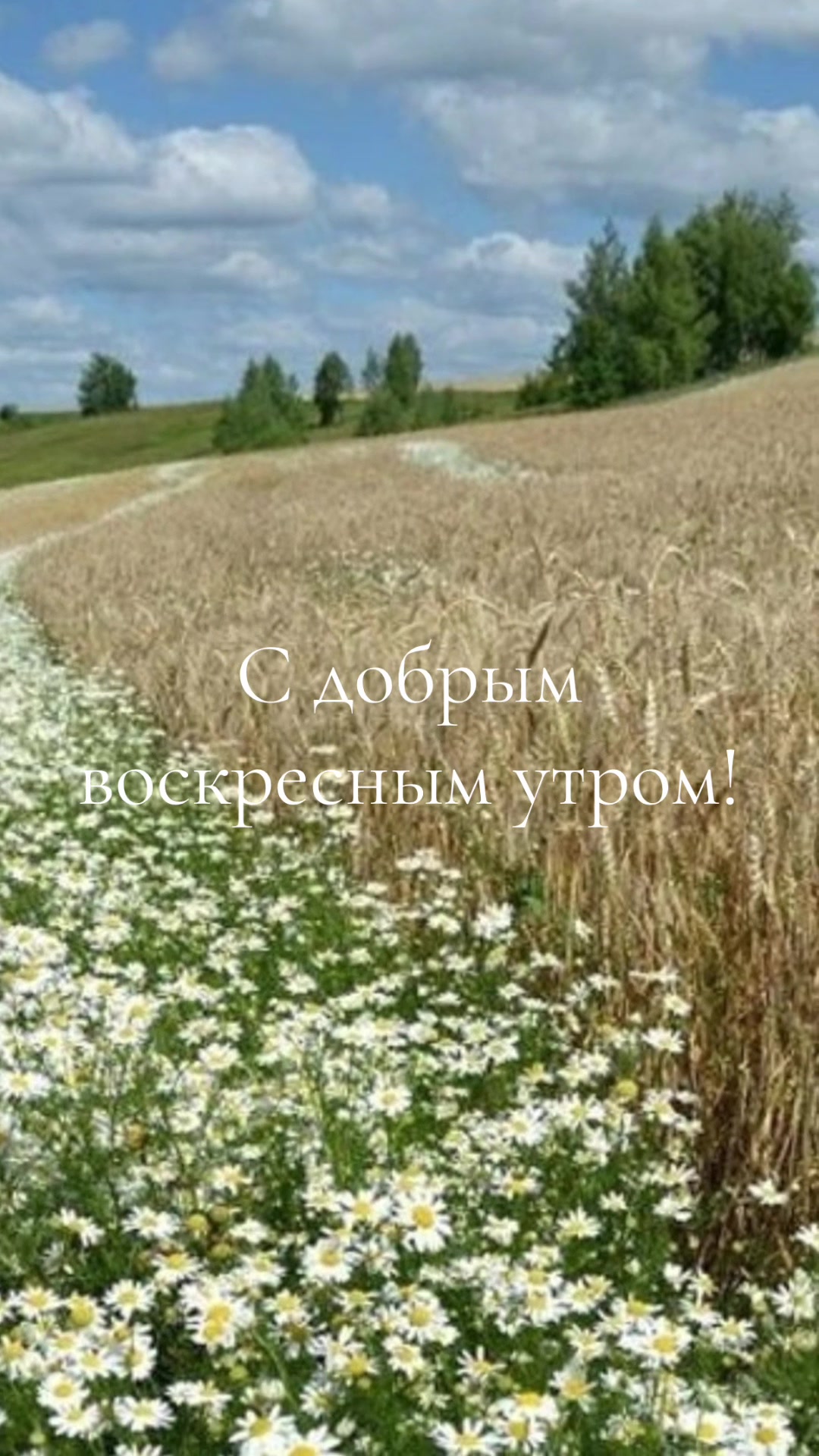 @Файруза Ковалинская