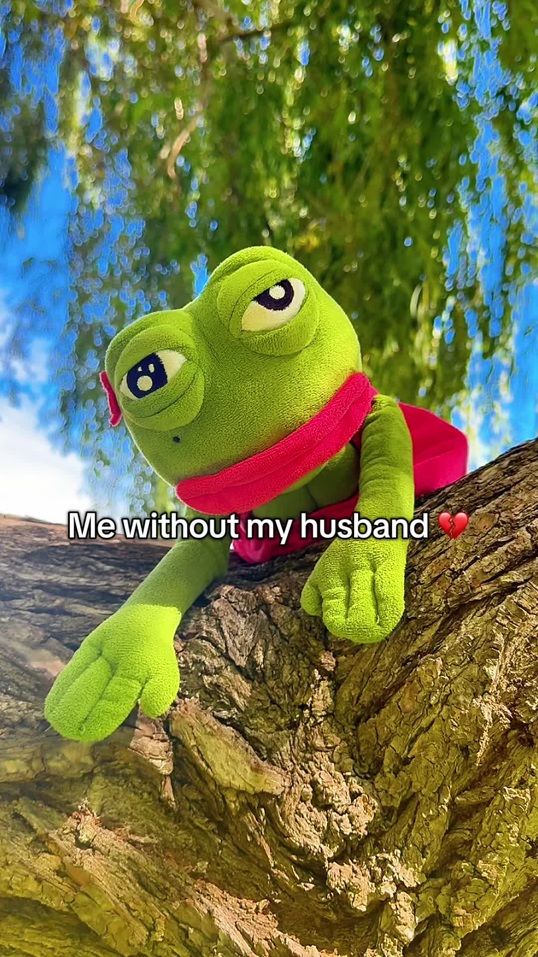 @AdoptAPepe