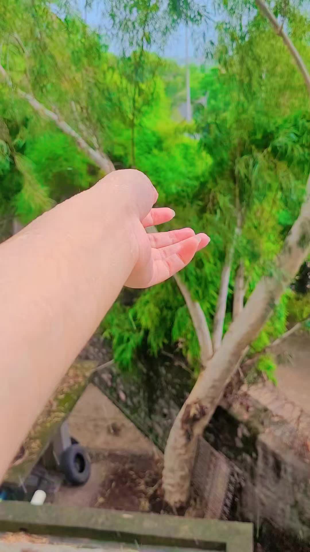 @maryyam