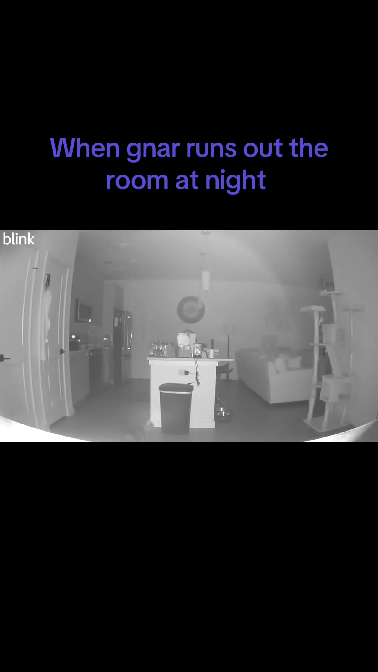 @Zombiee 🧟&zwj;♀️