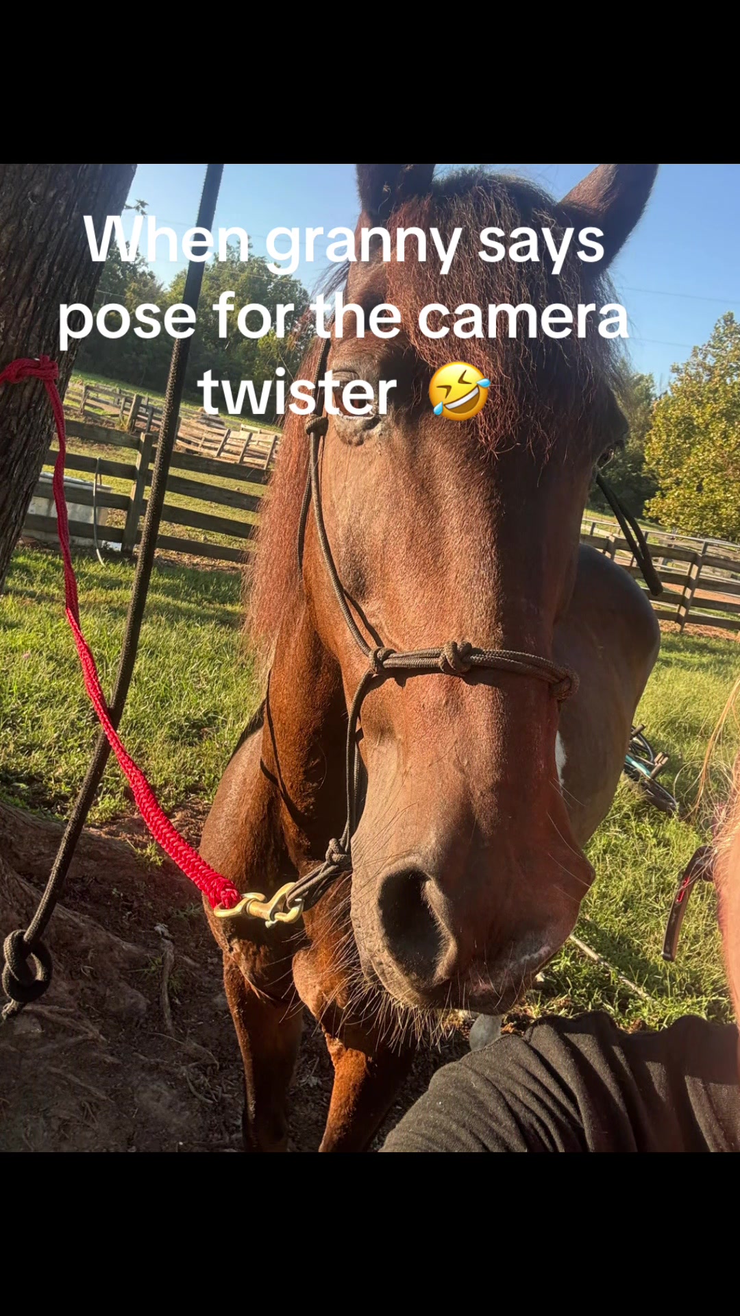 @truckerwifetruckermomma2❌️