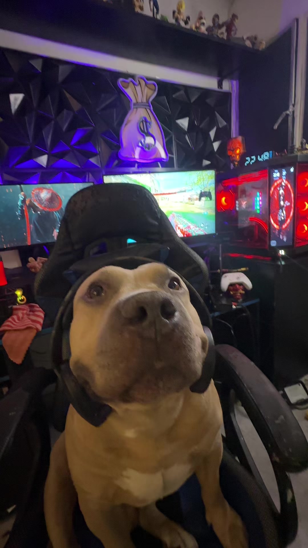 @Vikingo606