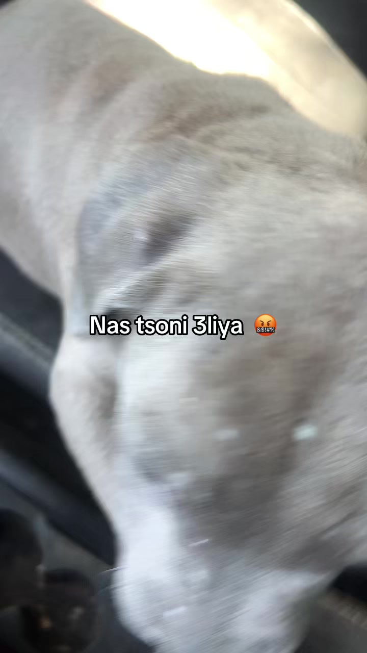 @الخلوية 🚩🥱🇩🇿