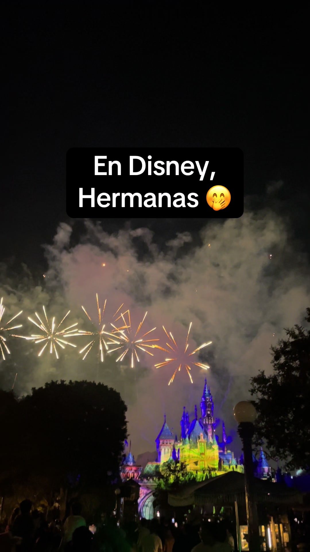@RodrigoC💚