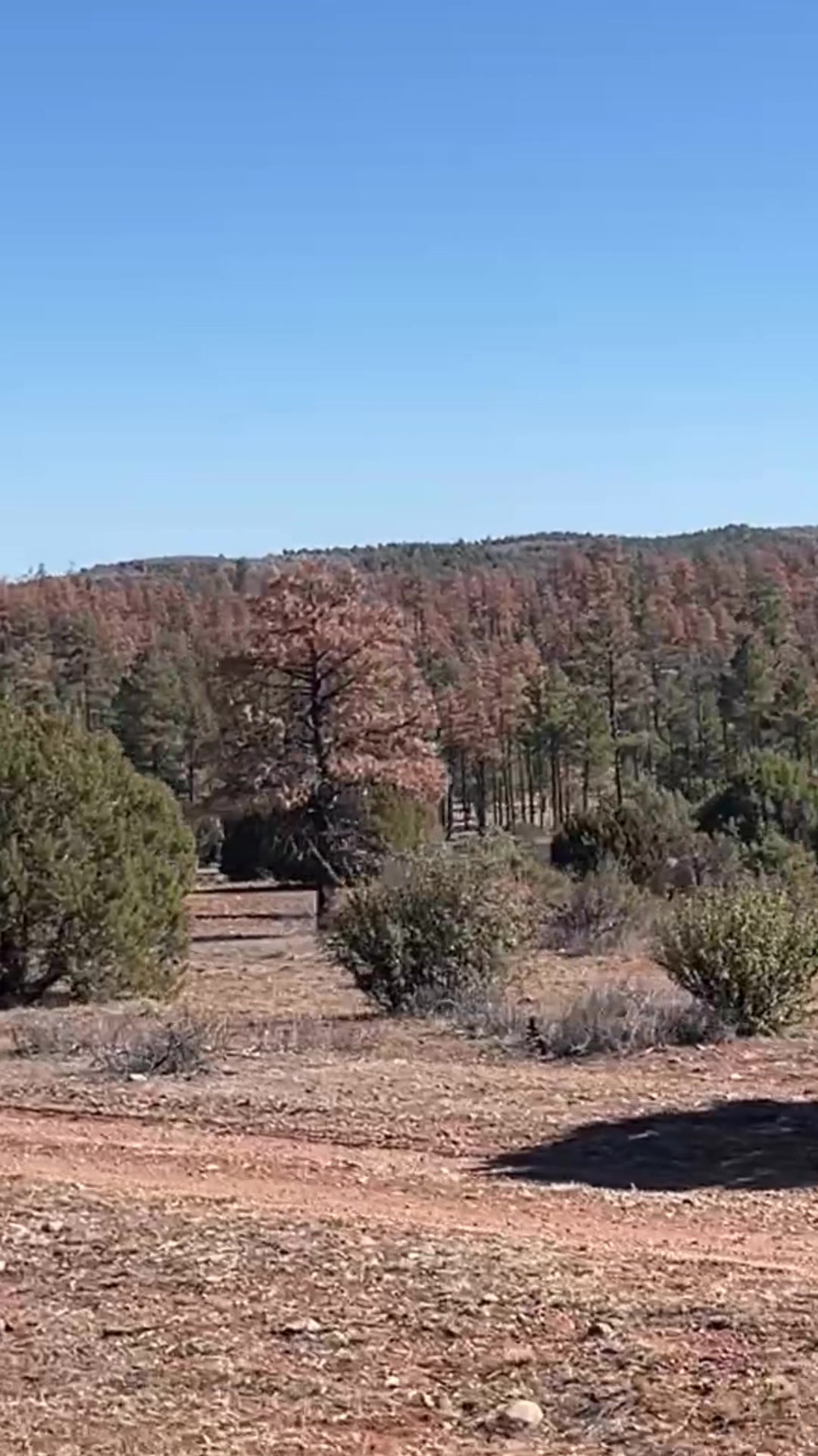 @AZ Off Grid