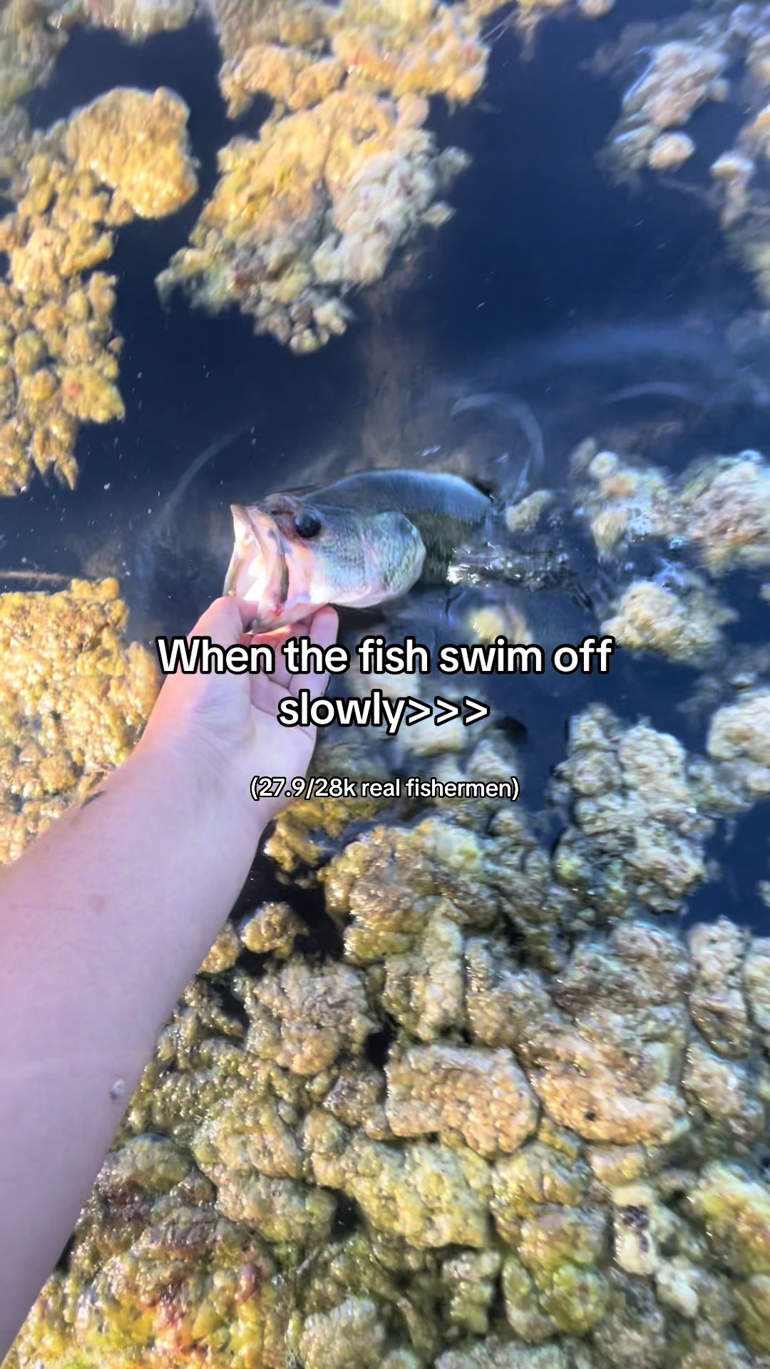 @fishingwithblake_