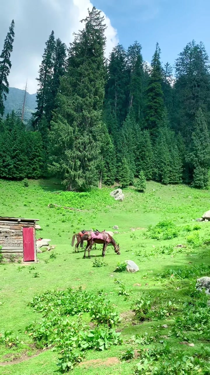 @Umair Khan