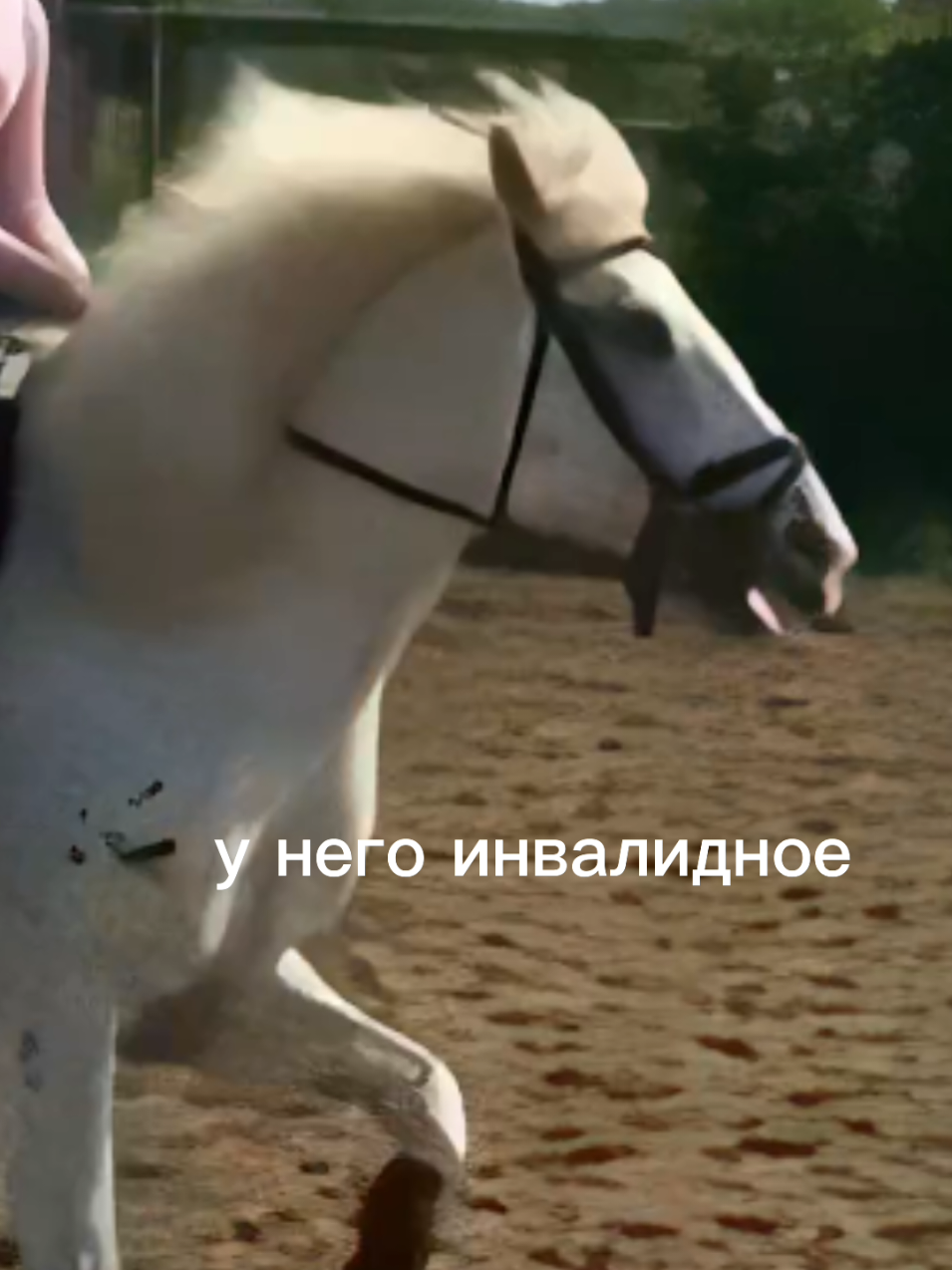 @Виктория Зеленская