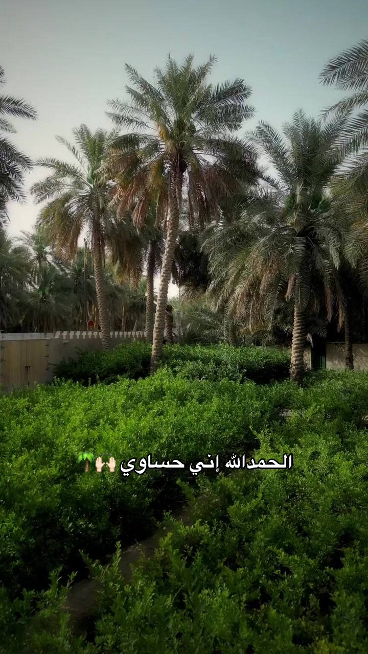 @جعفر بن عبد 📸🇸🇦🇧🇭.