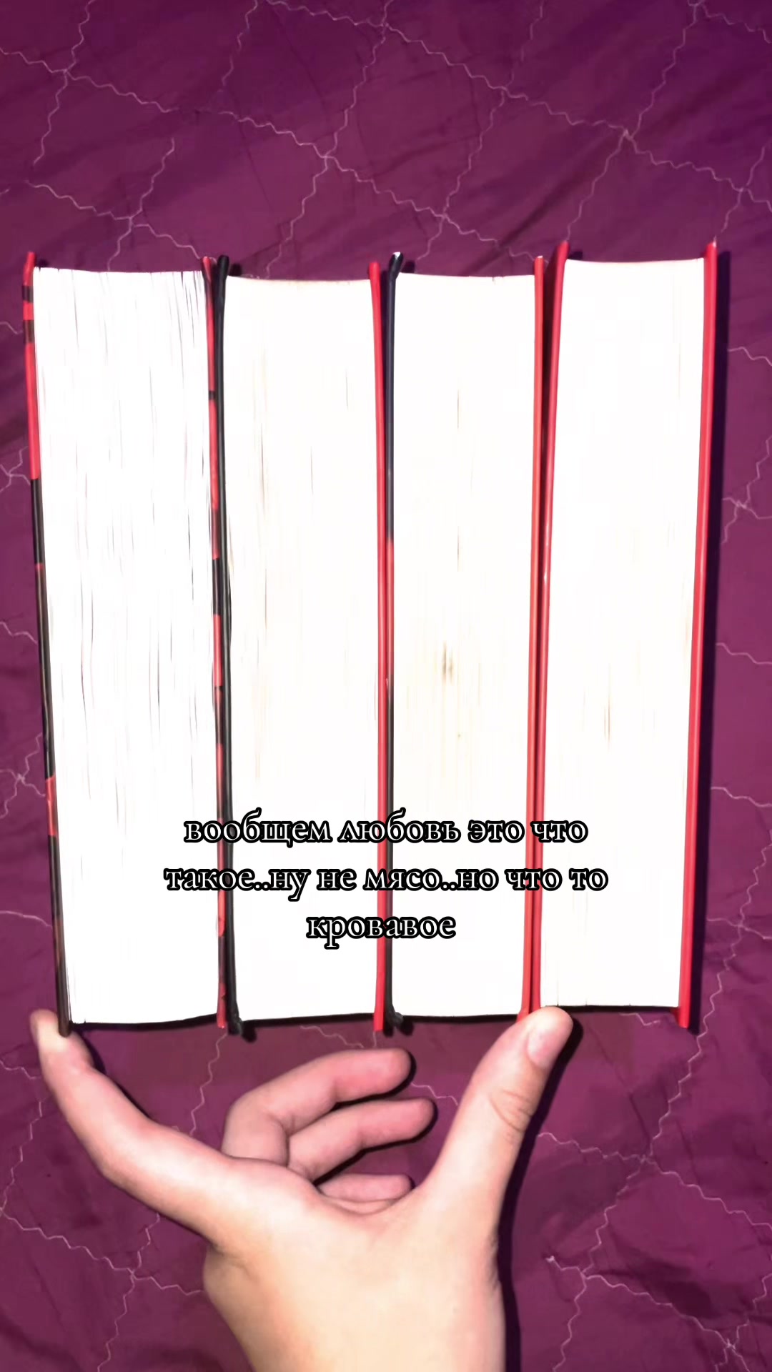@червя книжная 📚