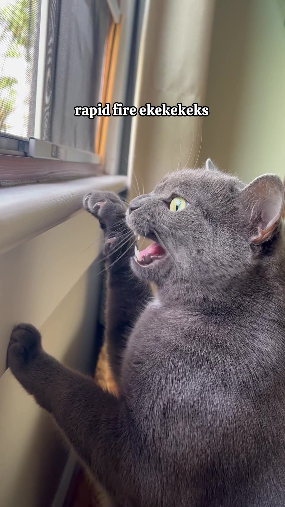 @ekekekkekkek