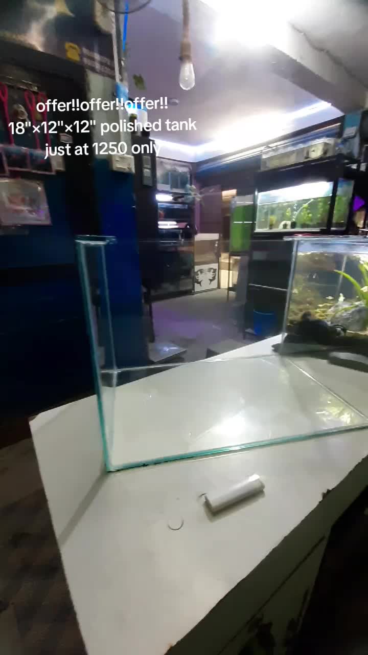 @Choice In Aqua