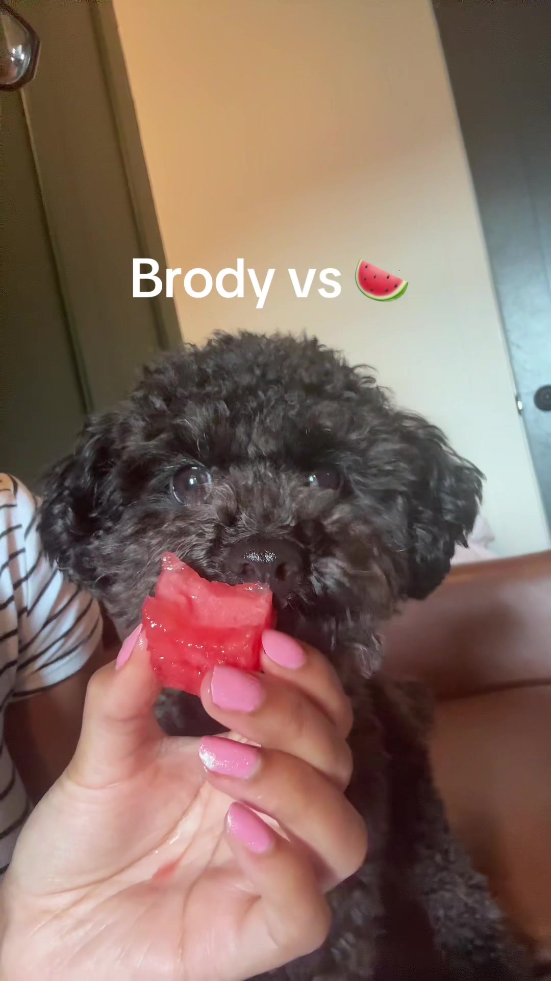 @Quesadiyah