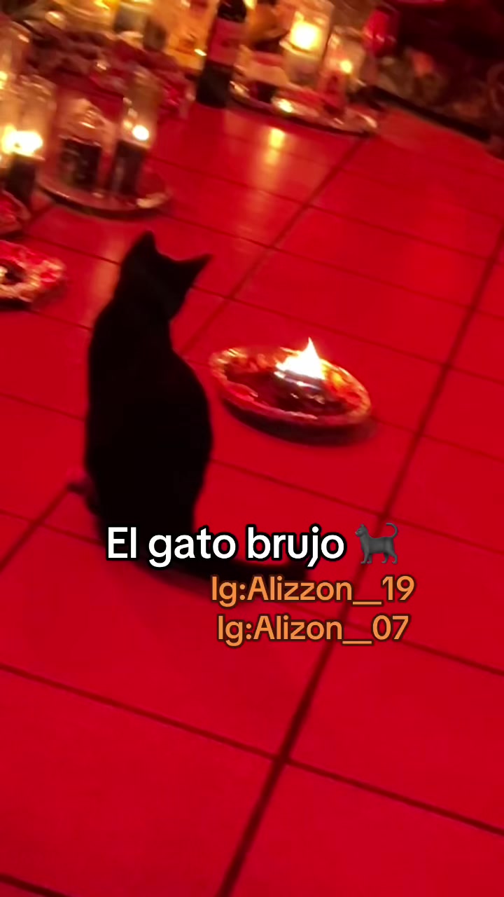 @đđ©đŠđ·đŹđ« â§
