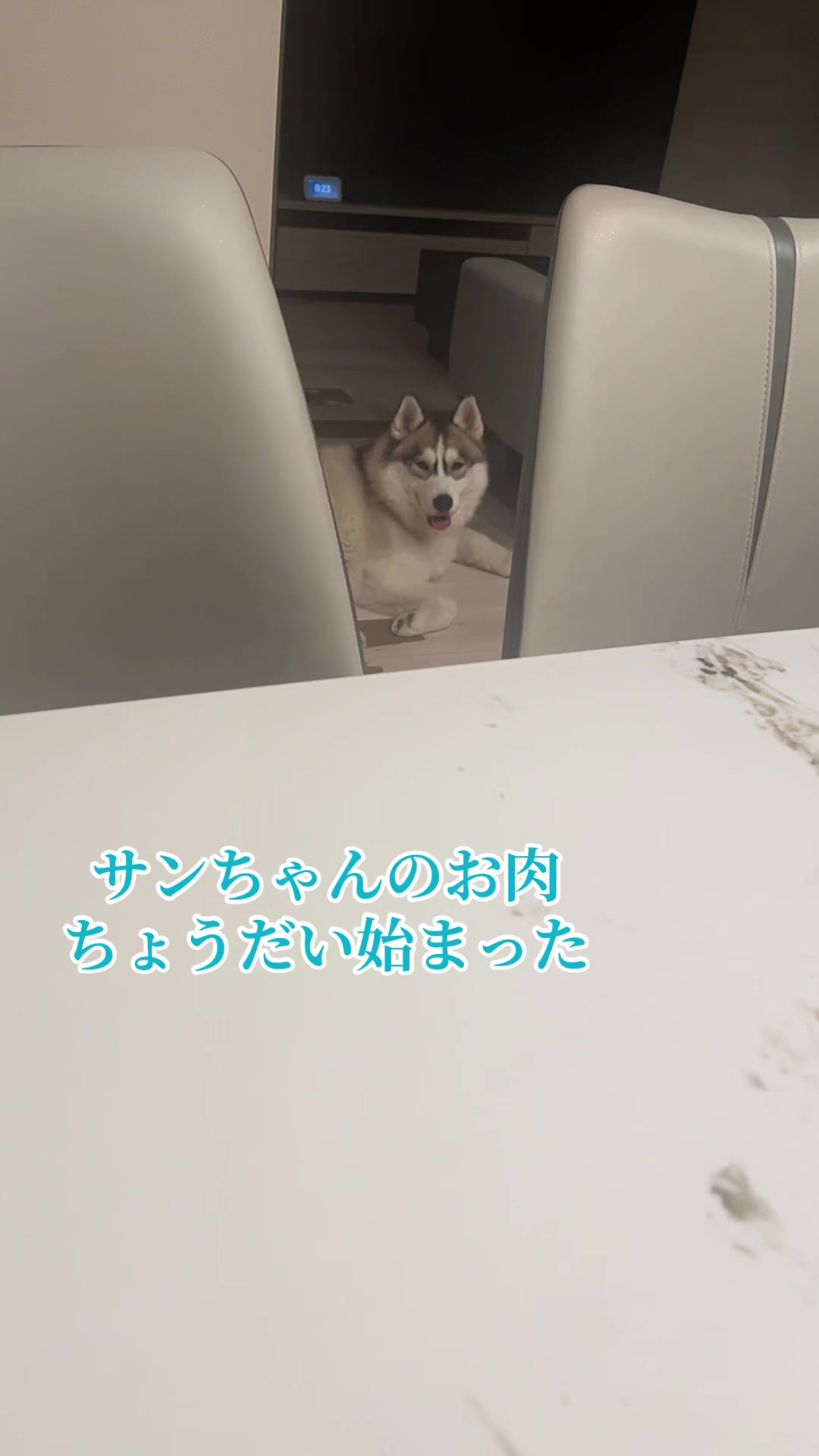 @サン☀️とムーン🌙