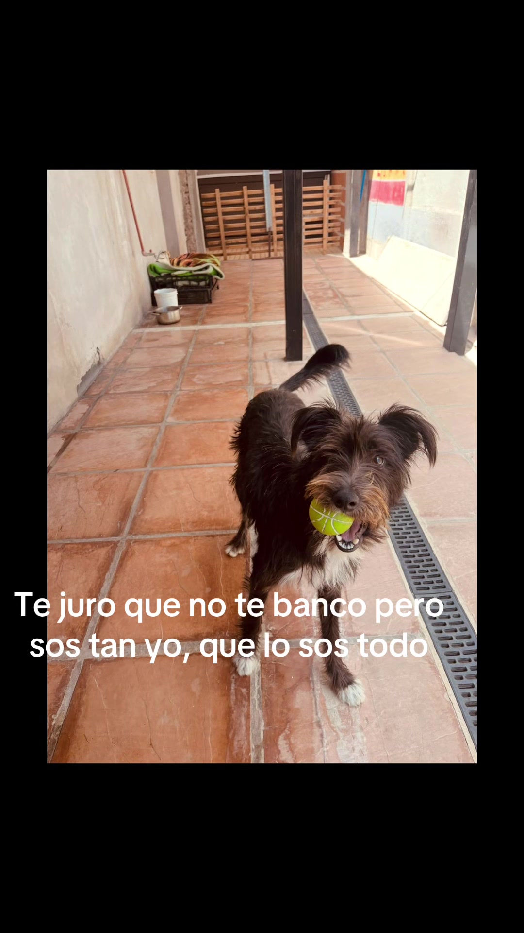 @Belinda Valera