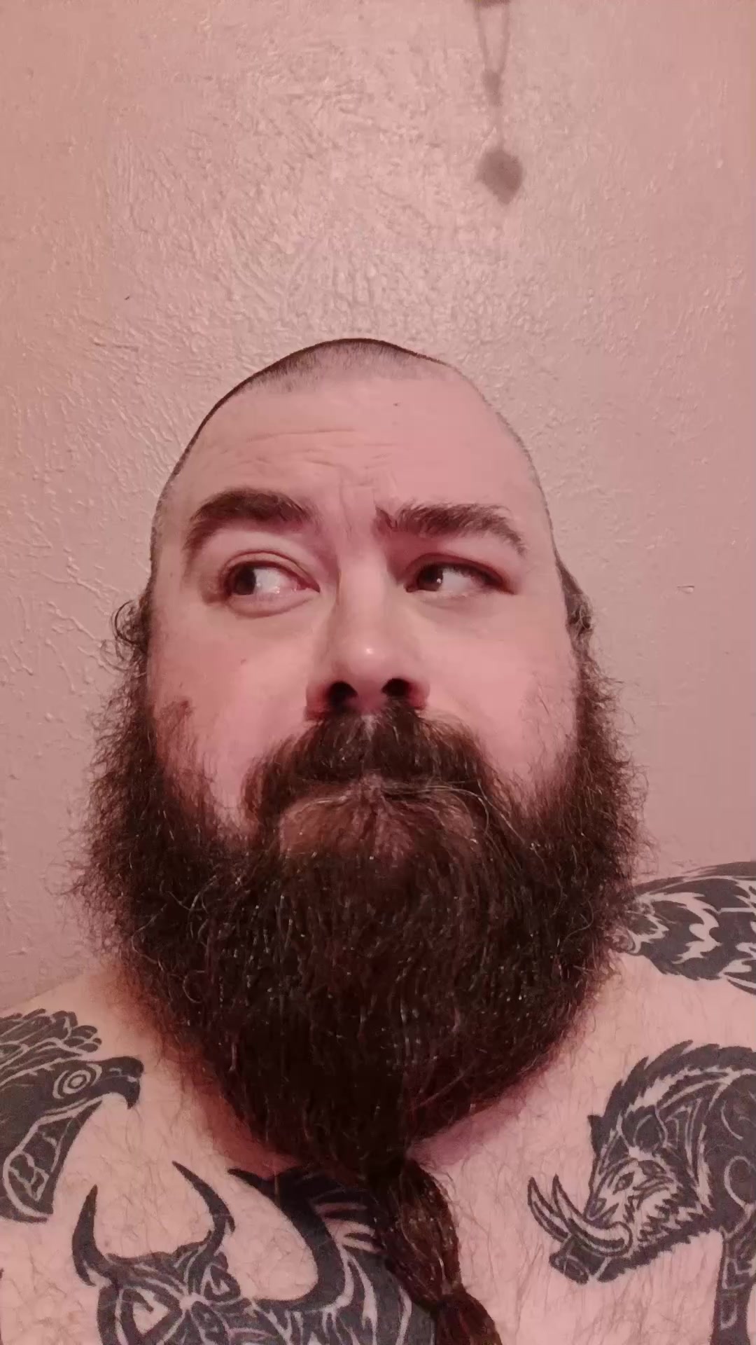@TheWoolyDragon