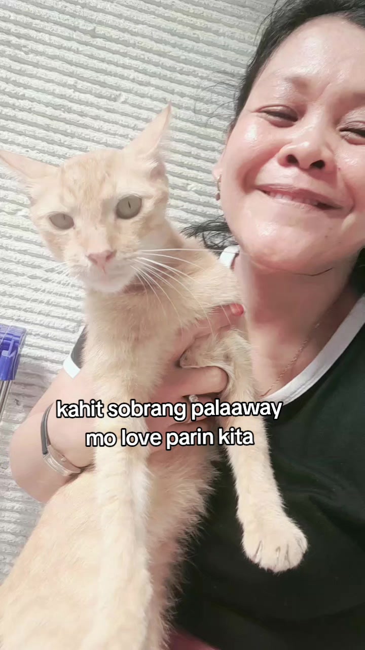 @harlan and ate💚💚💚💚💚