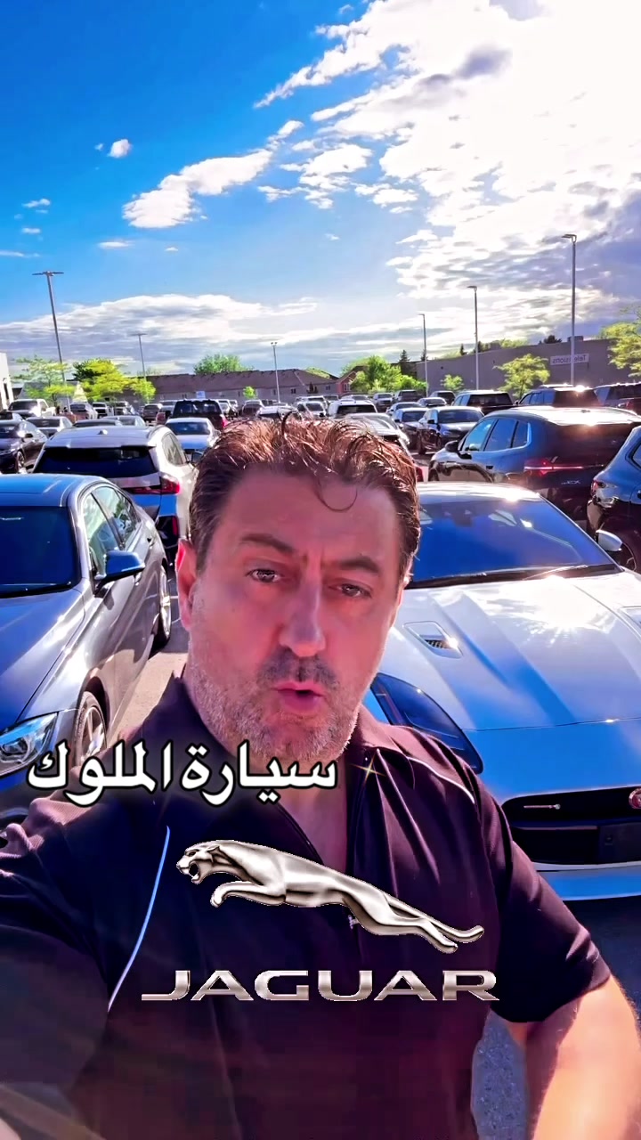 @Canadastallion 🇨🇦 الأصيل
