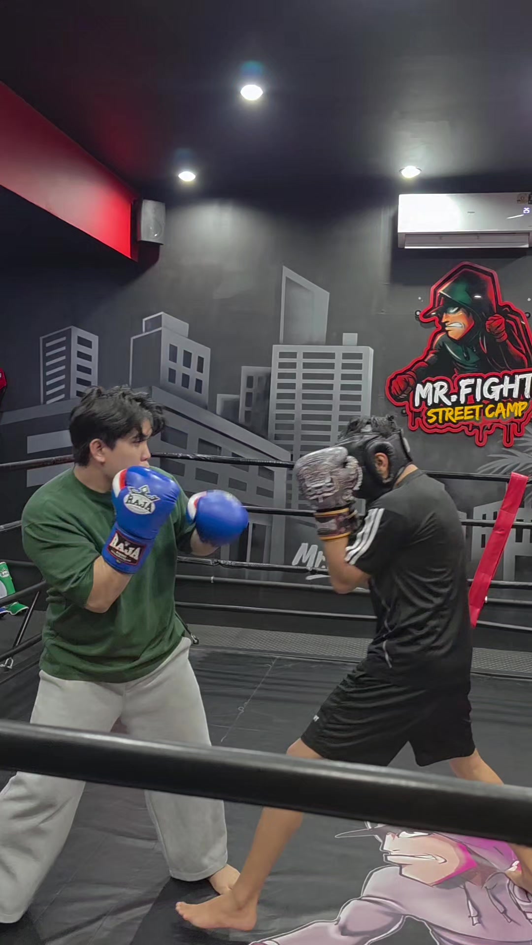 @Mr.Fight