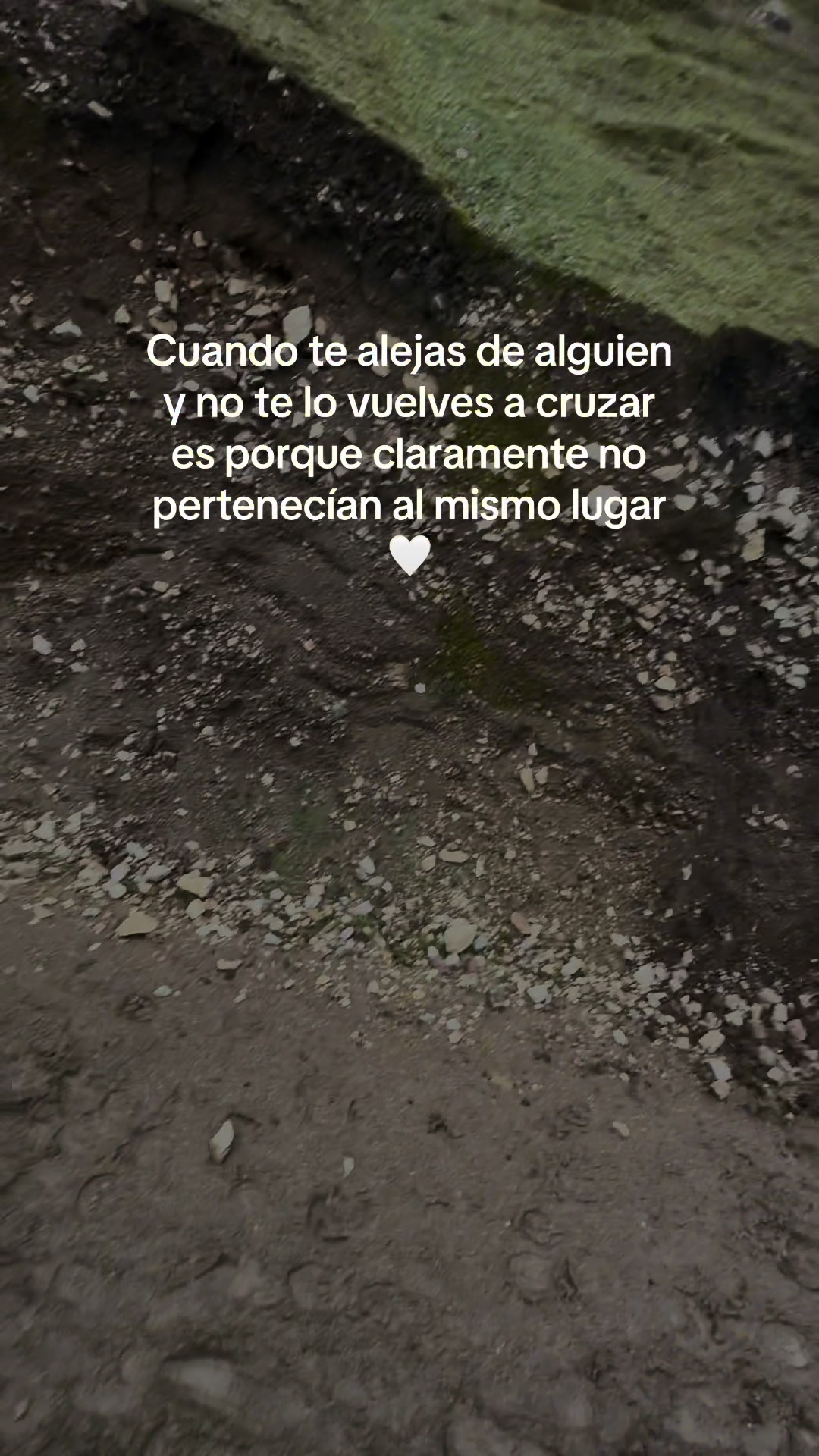 @Allito
