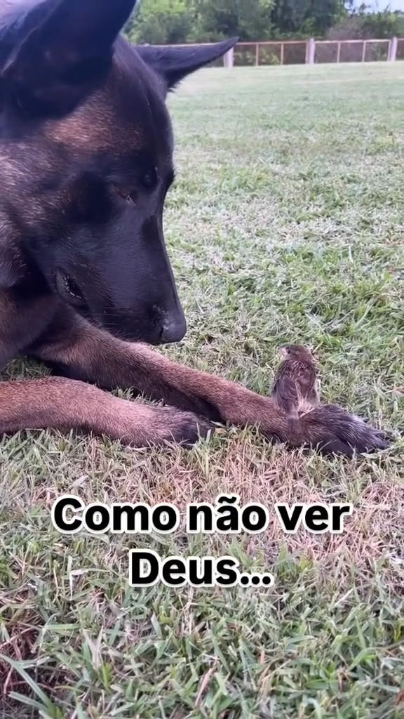 @VALDIR ✅️✅️✅️