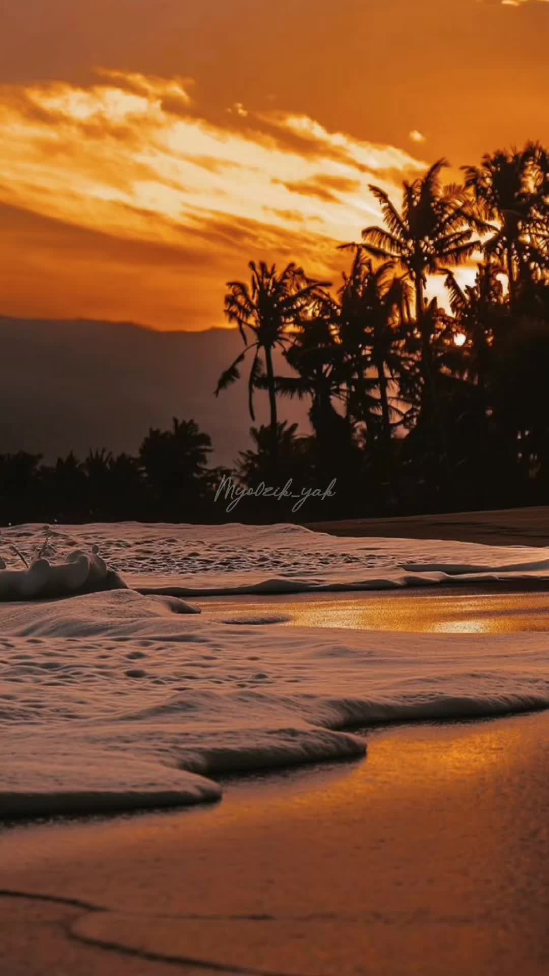 @ꪑꪗꪮ੦ɀỉƙ_ꪗꪖƙ ♪♫♬ 🧬