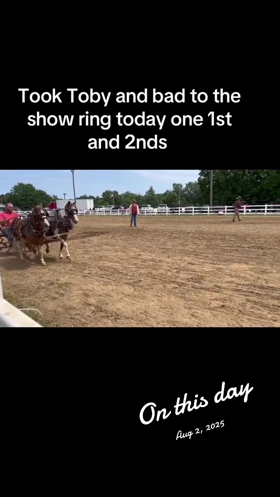 @cj