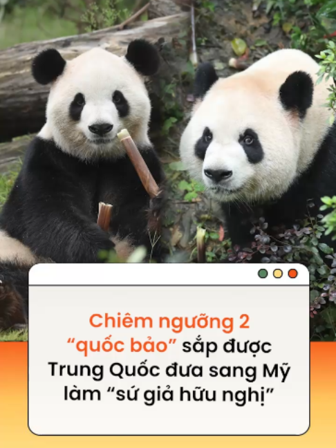 @Kenh14.vn
