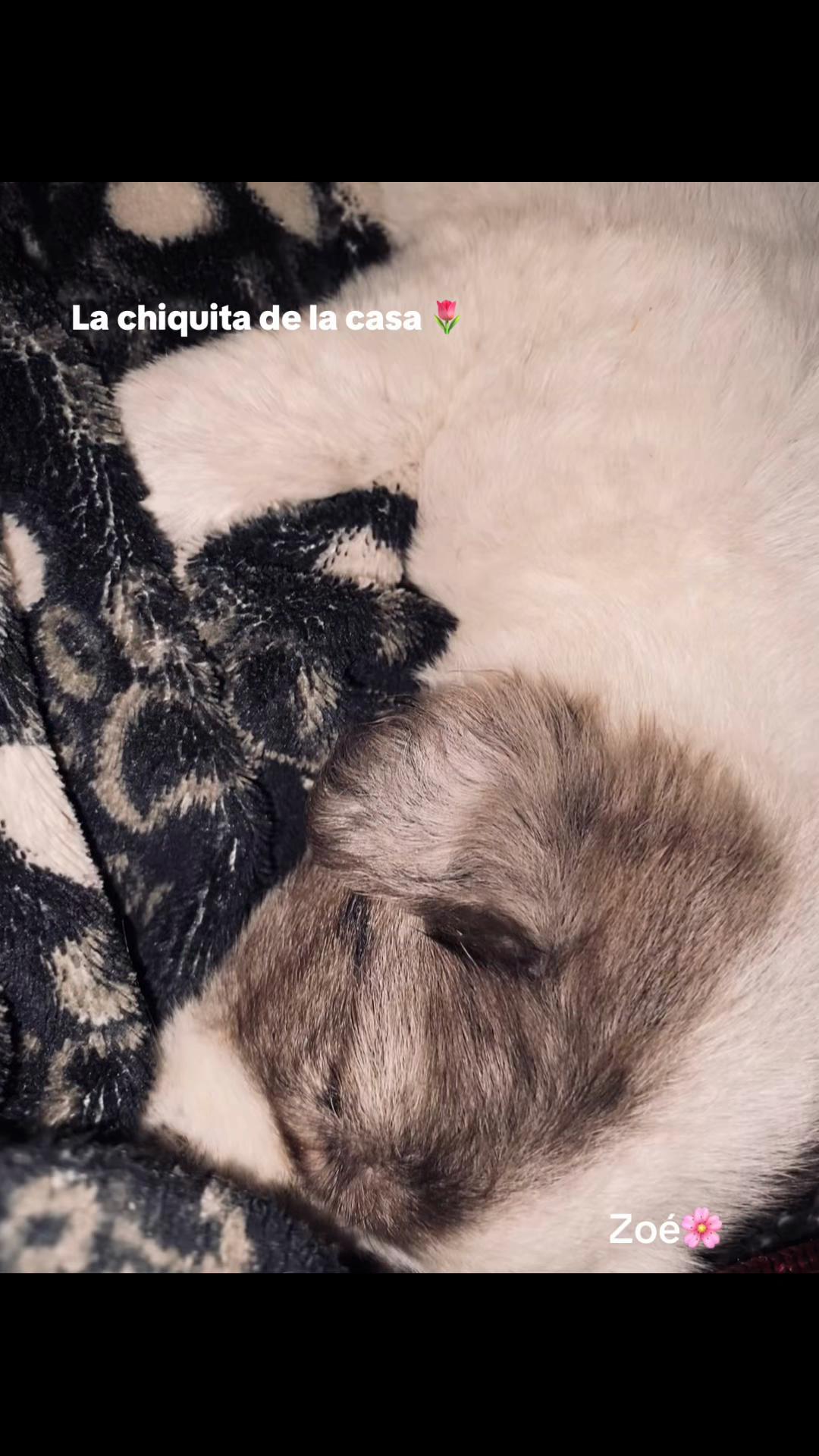 @May🐺.