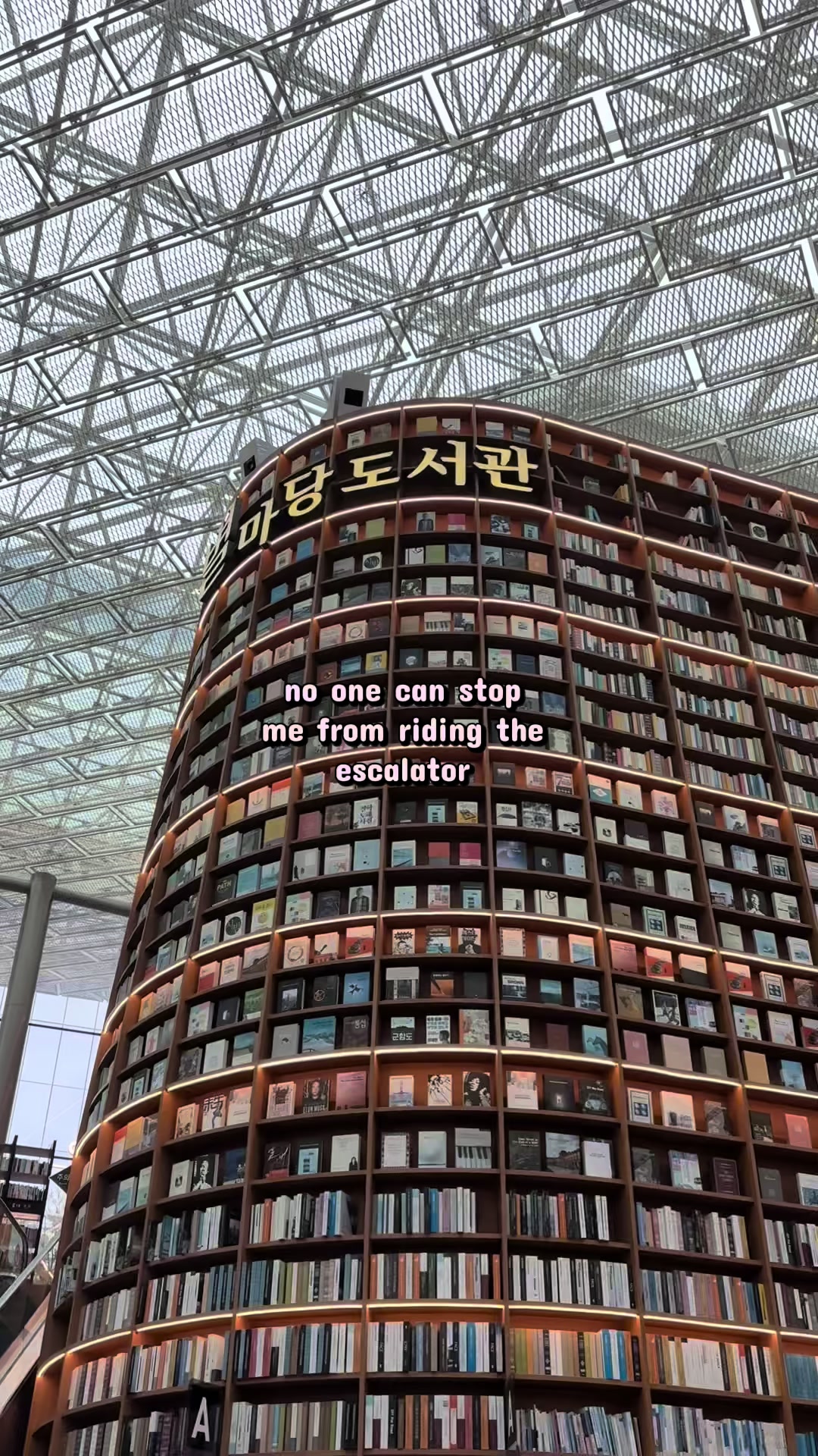 @kc ૮ – ﻌ–ა