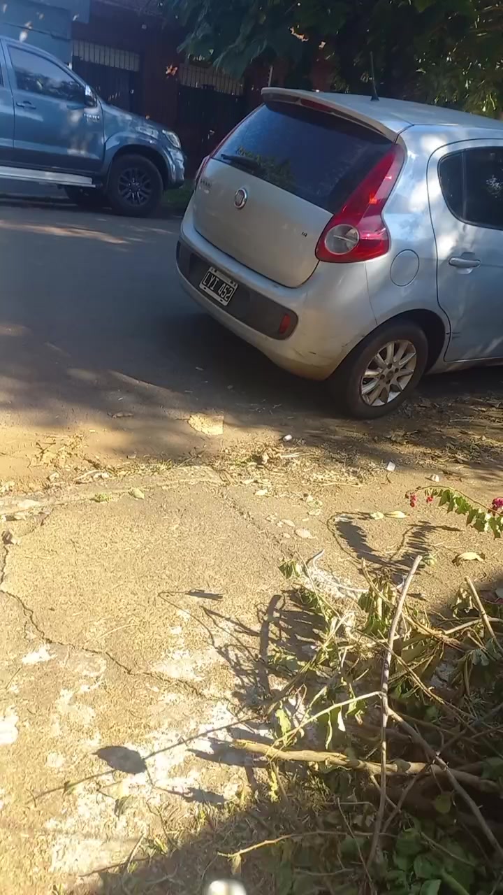 @cat