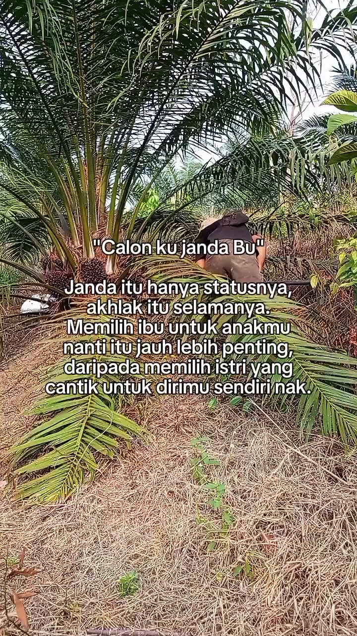@piki