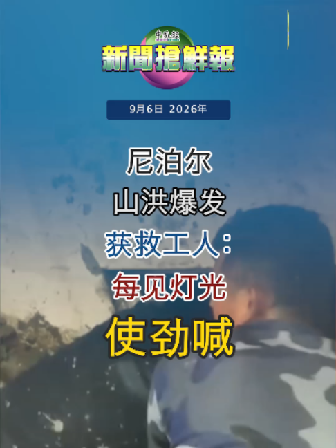 @中国报