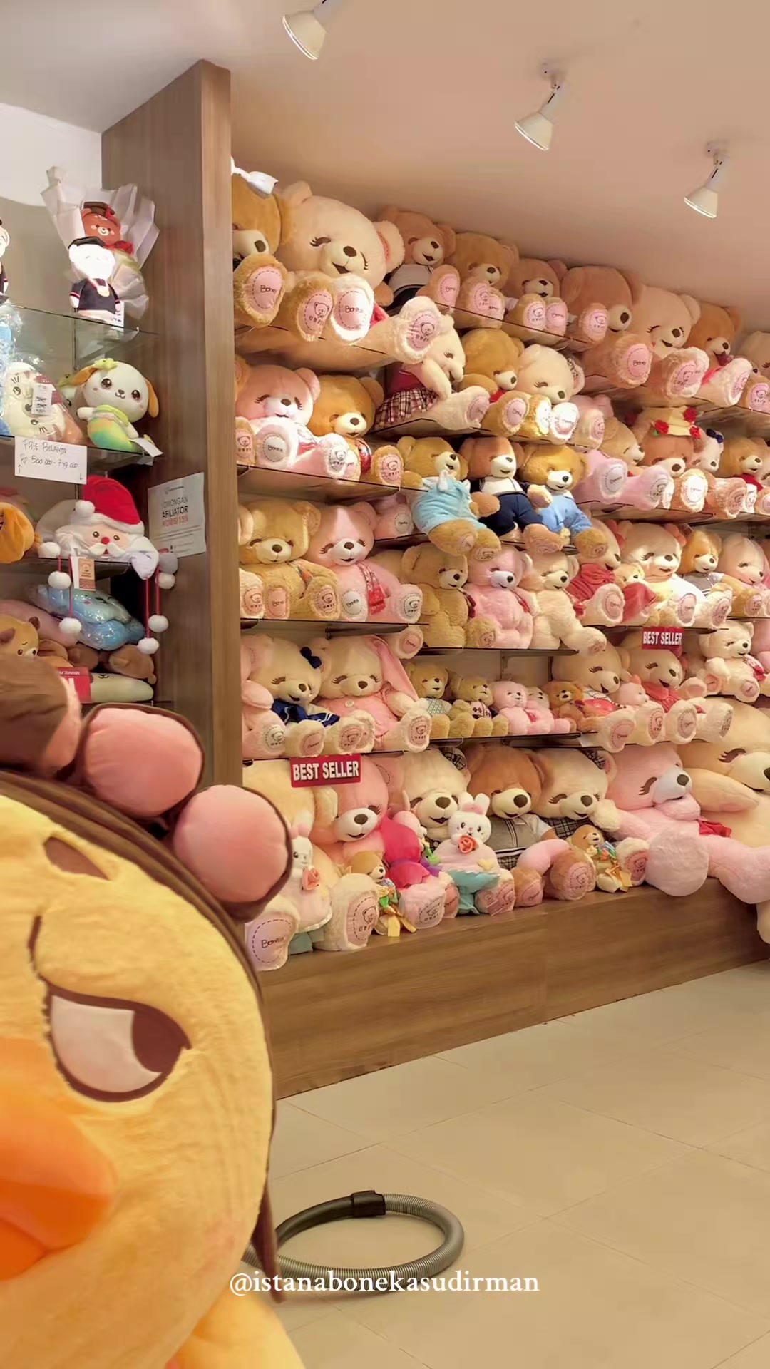 @ISTANA BONEKA SUDIRMAN