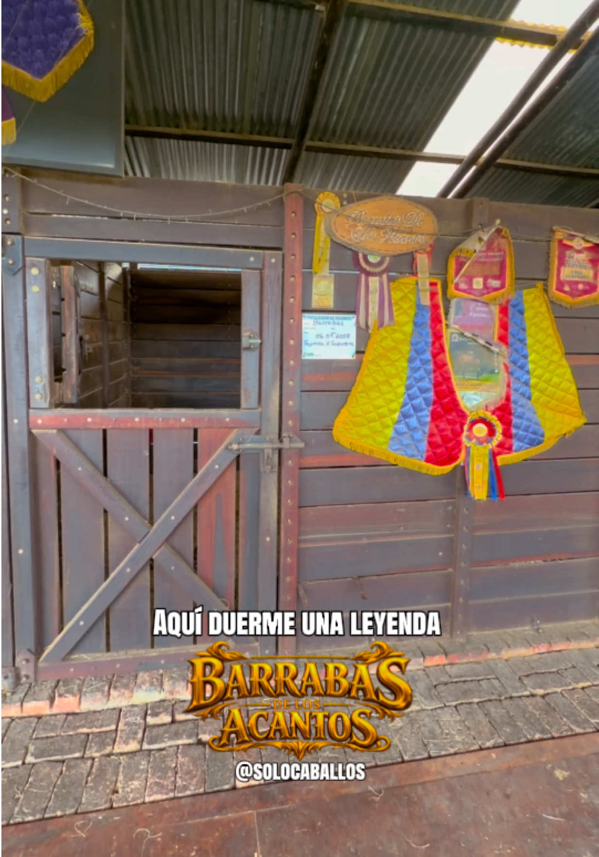 @Solo Caballos